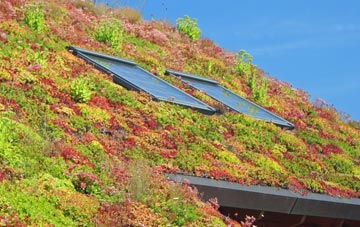 Hardys Green living roof systems